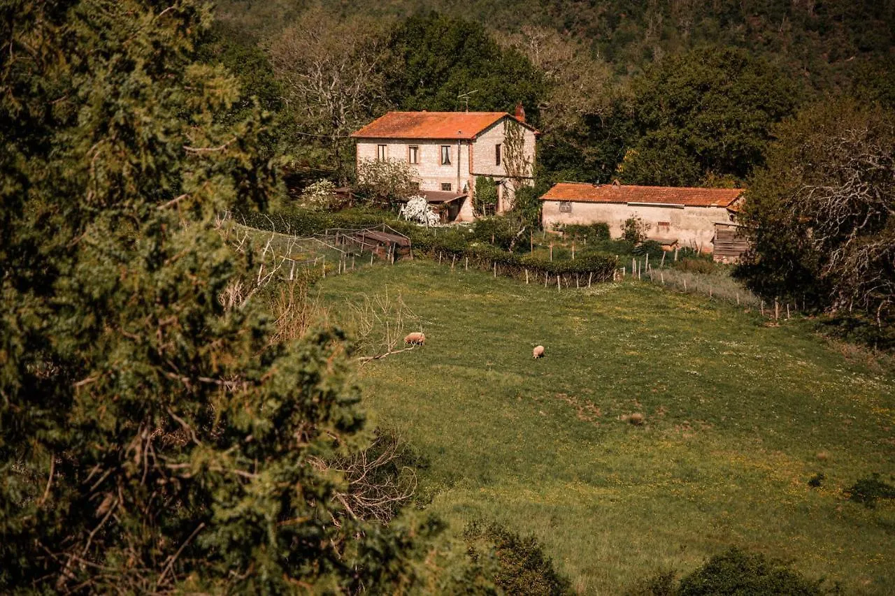 Chiantissima, Tuscany Starda